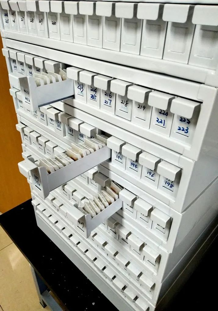 京东副总裁、渐冻症患者蔡磊：生命的尽头，要把自己贡献给科研休闲区蓝鸢梦想 - Www.slyday.coM