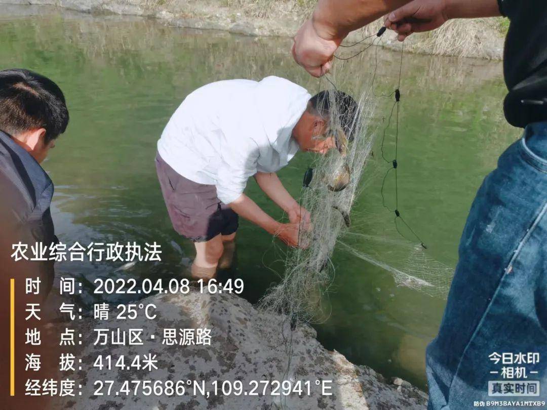 贵州铜仁一生态农业公司老板“放生”20公斤外来物种镜鲤，被罚1万休闲区蓝鸢梦想 - Www.slyday.coM