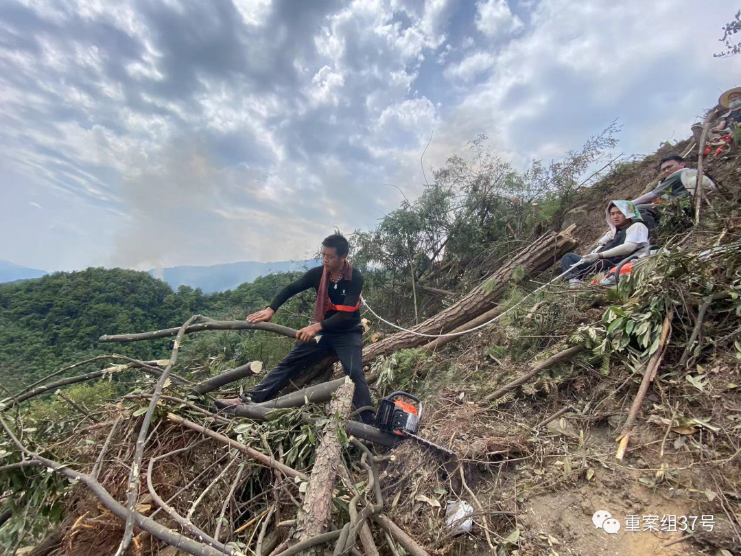 为了救火，他们在缙云山上留下了一道“伤疤”__财经头条