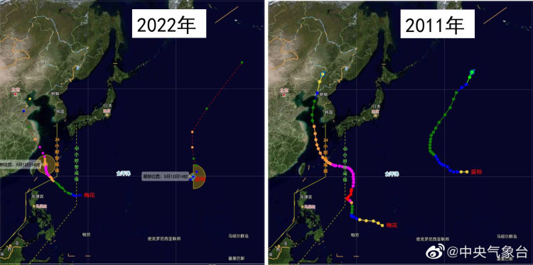 可能四登我国，“梅花”四世究竟是个什么样的台风休闲区蓝鸢梦想 - Www.slyday.coM