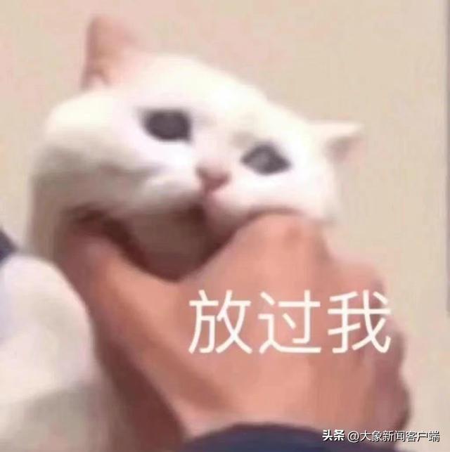 今评弹·她们说｜年轻人如何看待苏敏要离婚？休闲区蓝鸢梦想 - Www.slyday.coM