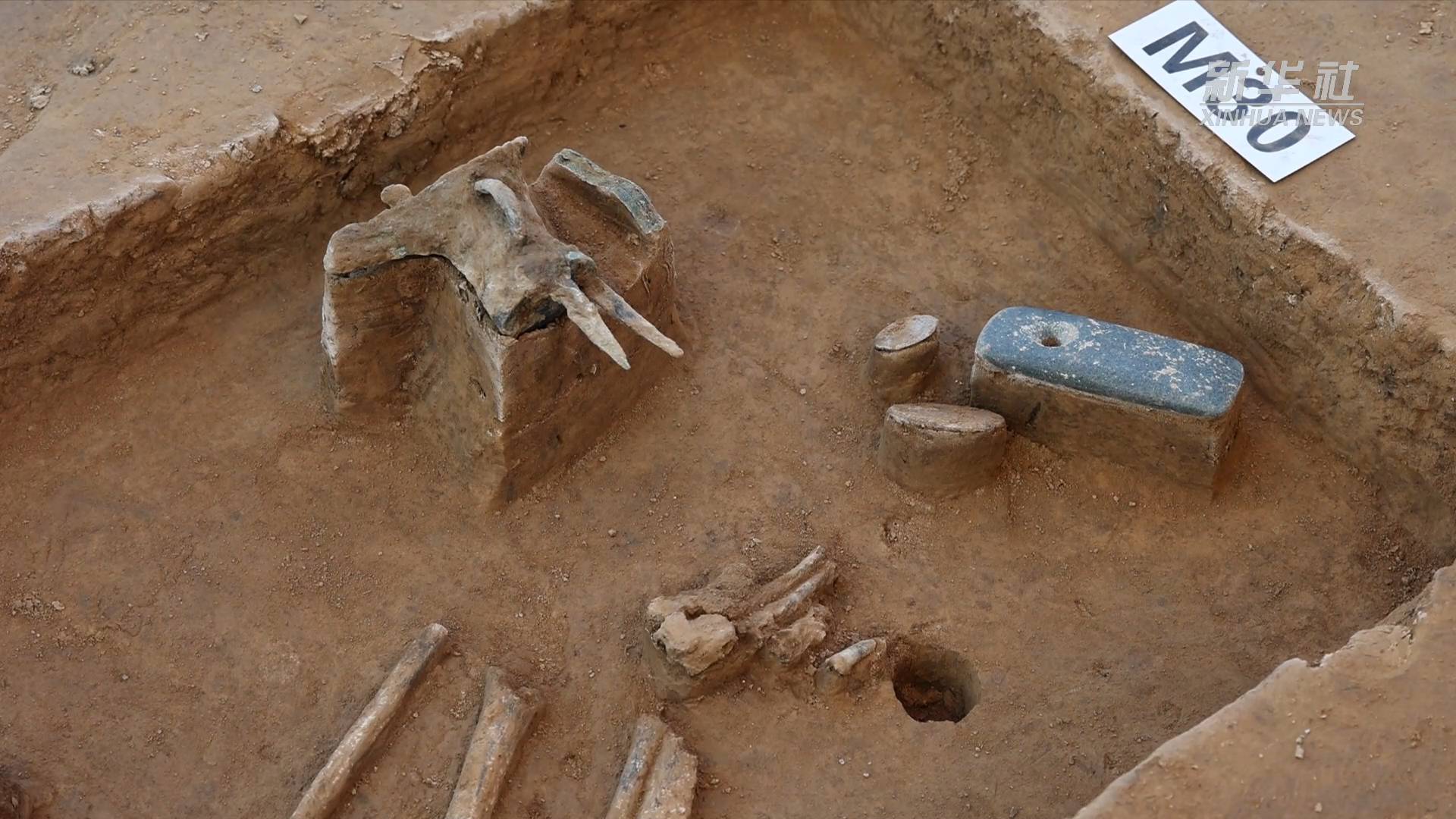 新华全媒 |河南郑州商城遗址发现商代中期高等级贵族墓葬区|郑州市