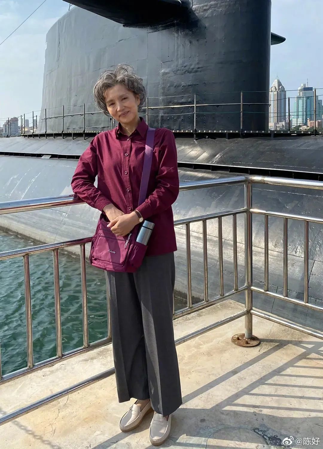 还记得《粉红女郎》里的陈好吗？嫁入豪门后成这样？休闲区蓝鸢梦想 - Www.slyday.coM