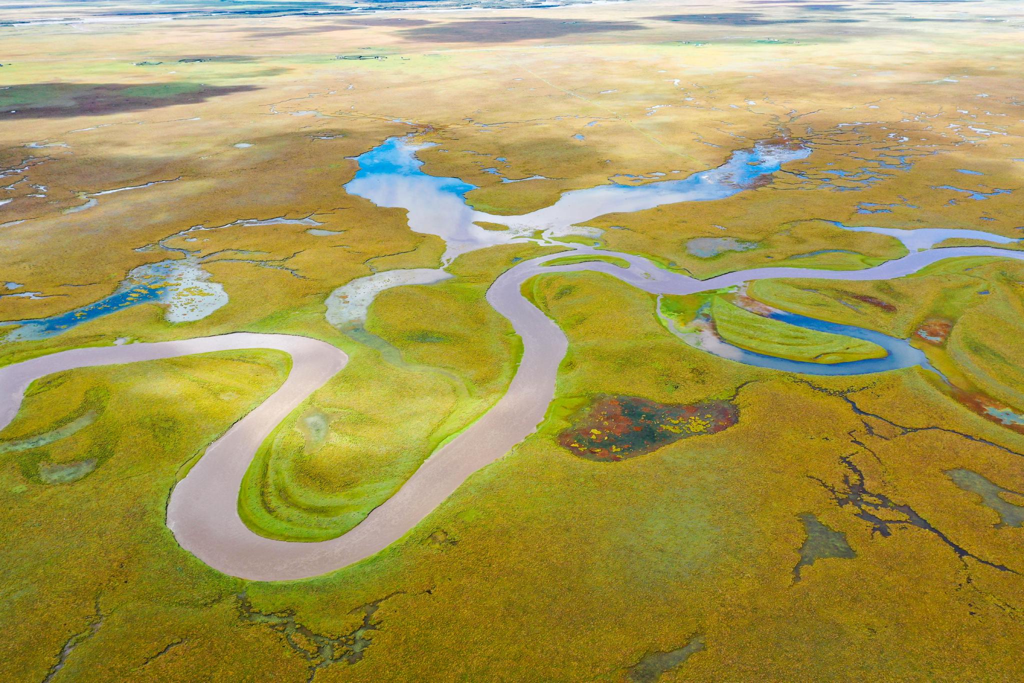 9月17日拍摄的阿万仓湿地风光(无人机照片).