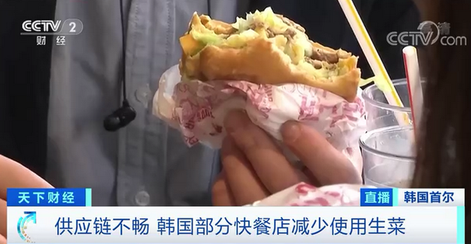 韩国的麦当劳，汉堡里没了生菜！中国泡菜成韩餐饮业界首选休闲区蓝鸢梦想 - Www.slyday.coM
