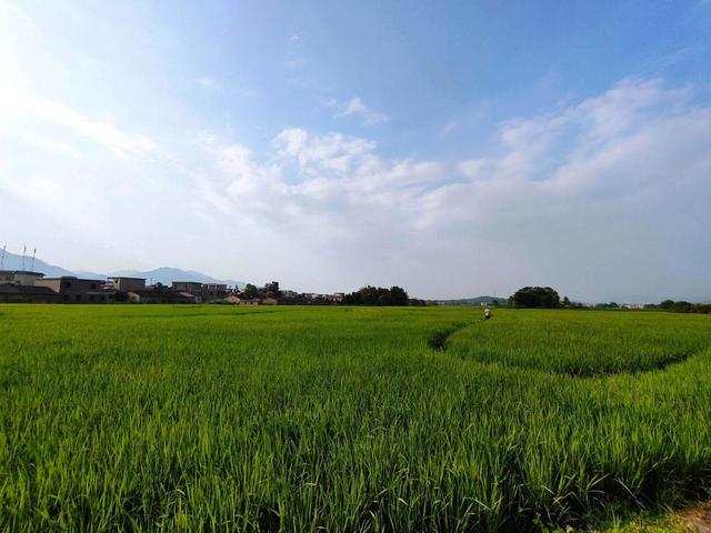 韶关乳源桂头镇:推进"三新三化"建设,乡村面貌焕然一新__财经头条