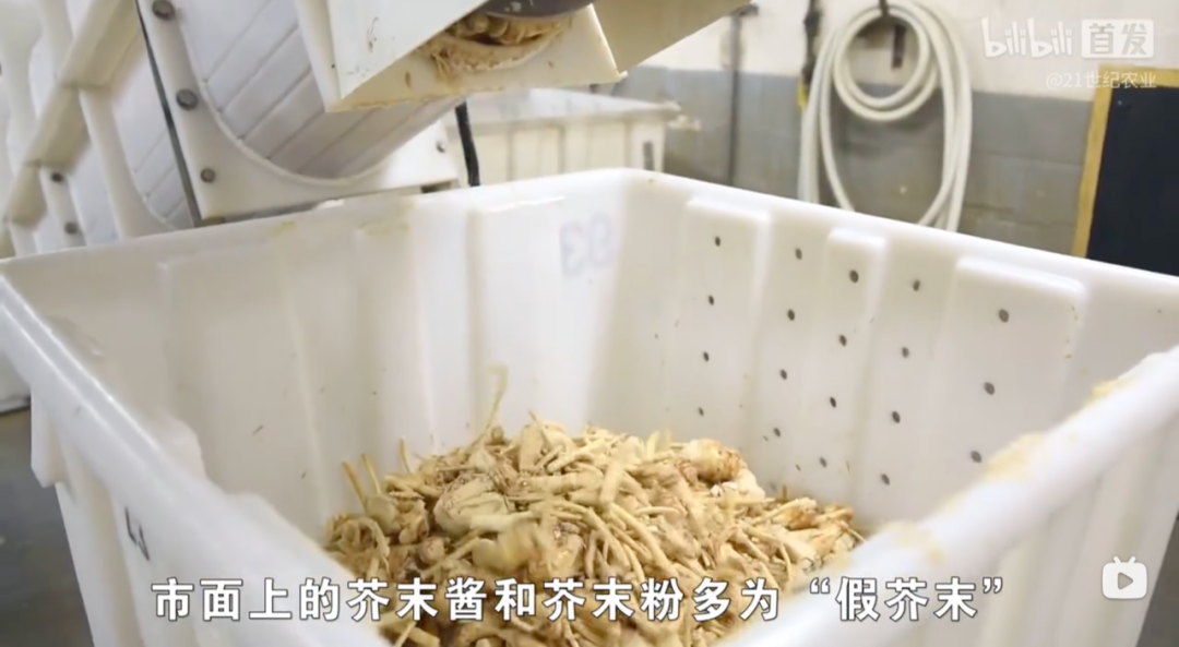 芥末越来越假了，能不难吃吗休闲区蓝鸢梦想 - Www.slyday.coM