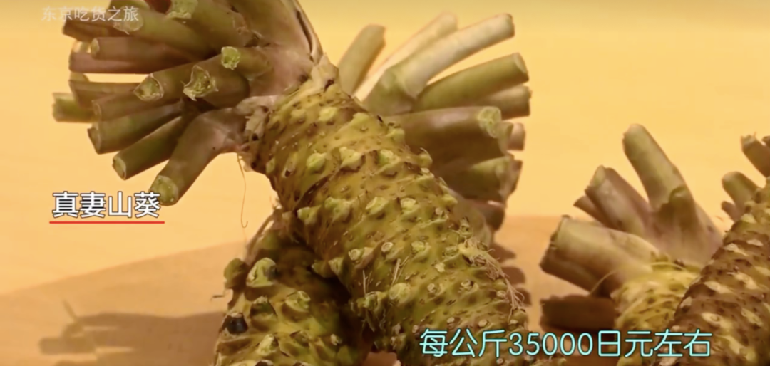 芥末越来越假了，能不难吃吗休闲区蓝鸢梦想 - Www.slyday.coM