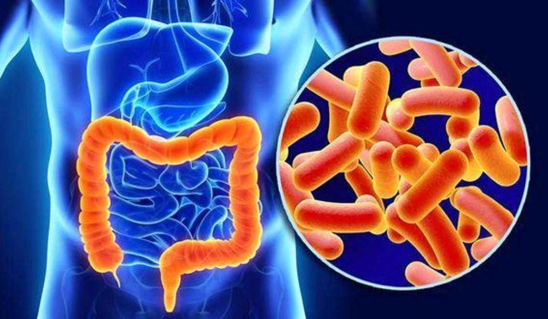 秋天如何调养肠胃？日常把这3点做到位了，或对肠胃健康有益休闲区蓝鸢梦想 - Www.slyday.coM