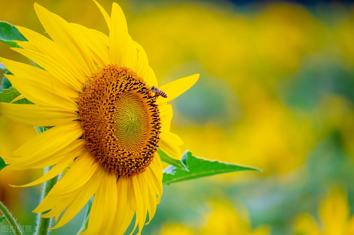 不喜欢一个人的时候,这三个反应会告诉你,很诚实休闲区蓝鸢梦想 - Www.slyday.coM 不喜欢一个人的时候,这三个反应会告诉你,很诚实休闲区蓝鸢梦想 - Www.slyday.coM