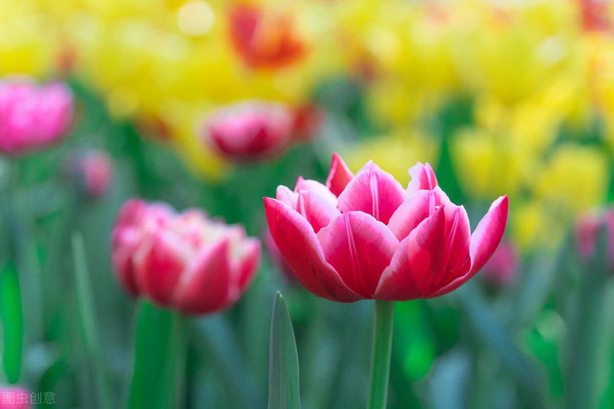 不喜欢一个人的时候,这三个反应会告诉你,很诚实休闲区蓝鸢梦想 - Www.slyday.coM 不喜欢一个人的时候,这三个反应会告诉你,很诚实休闲区蓝鸢梦想 - Www.slyday.coM