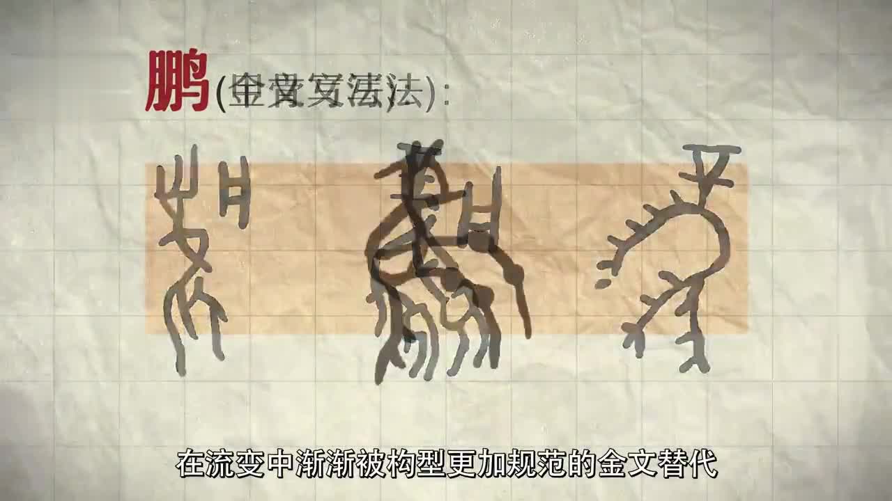 汉字字体是怎样演变的?|甲骨文_新浪新闻