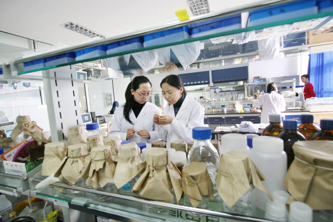 “最美科技工作者”李国婧：专注科研攻关，把创新成果书写在内蒙古大地上休闲区蓝鸢梦想 - Www.slyday.coM