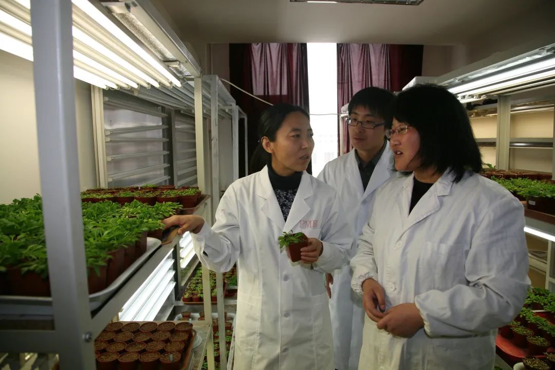 “最美科技工作者”李国婧：专注科研攻关，把创新成果书写在内蒙古大地上休闲区蓝鸢梦想 - Www.slyday.coM