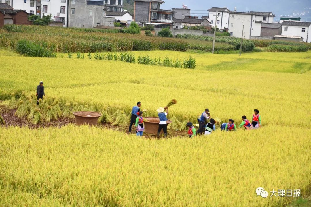 秦汉南方统治范围 火耕水耨耕作技术