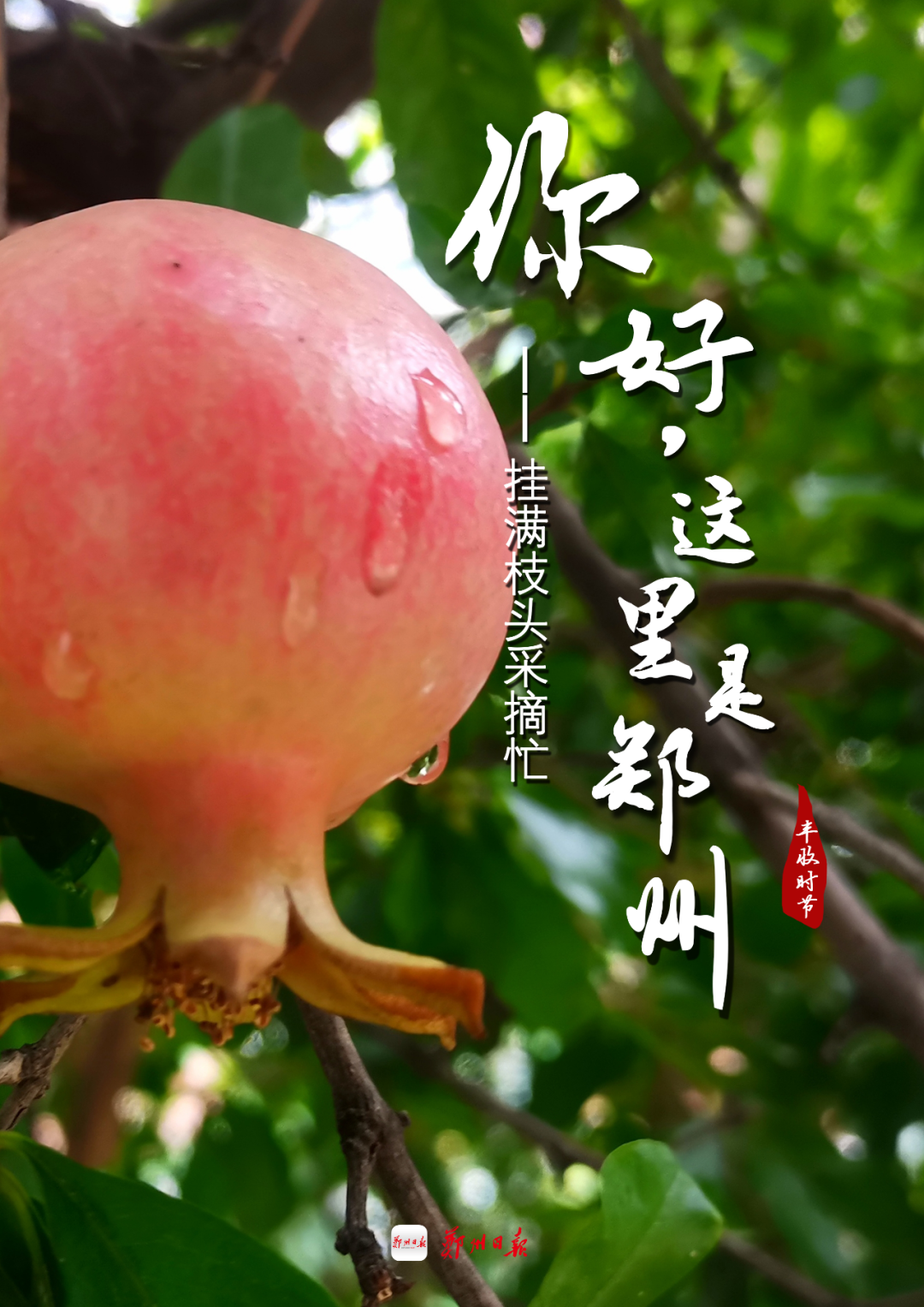 Date with 郑州｜你可以永远相信中原大地的浪漫休闲区蓝鸢梦想 - Www.slyday.coM