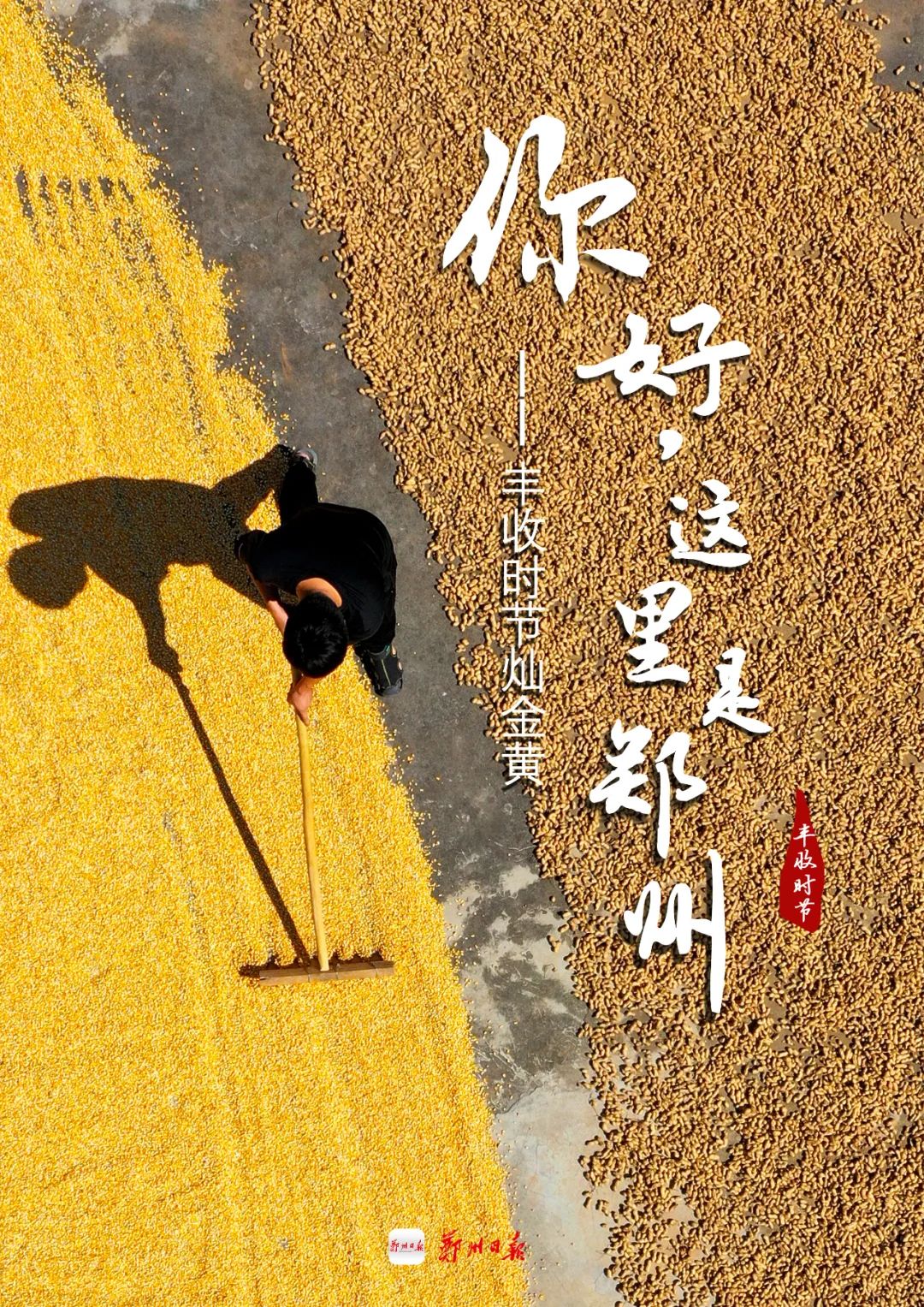 Date with 郑州｜你可以永远相信中原大地的浪漫休闲区蓝鸢梦想 - Www.slyday.coM