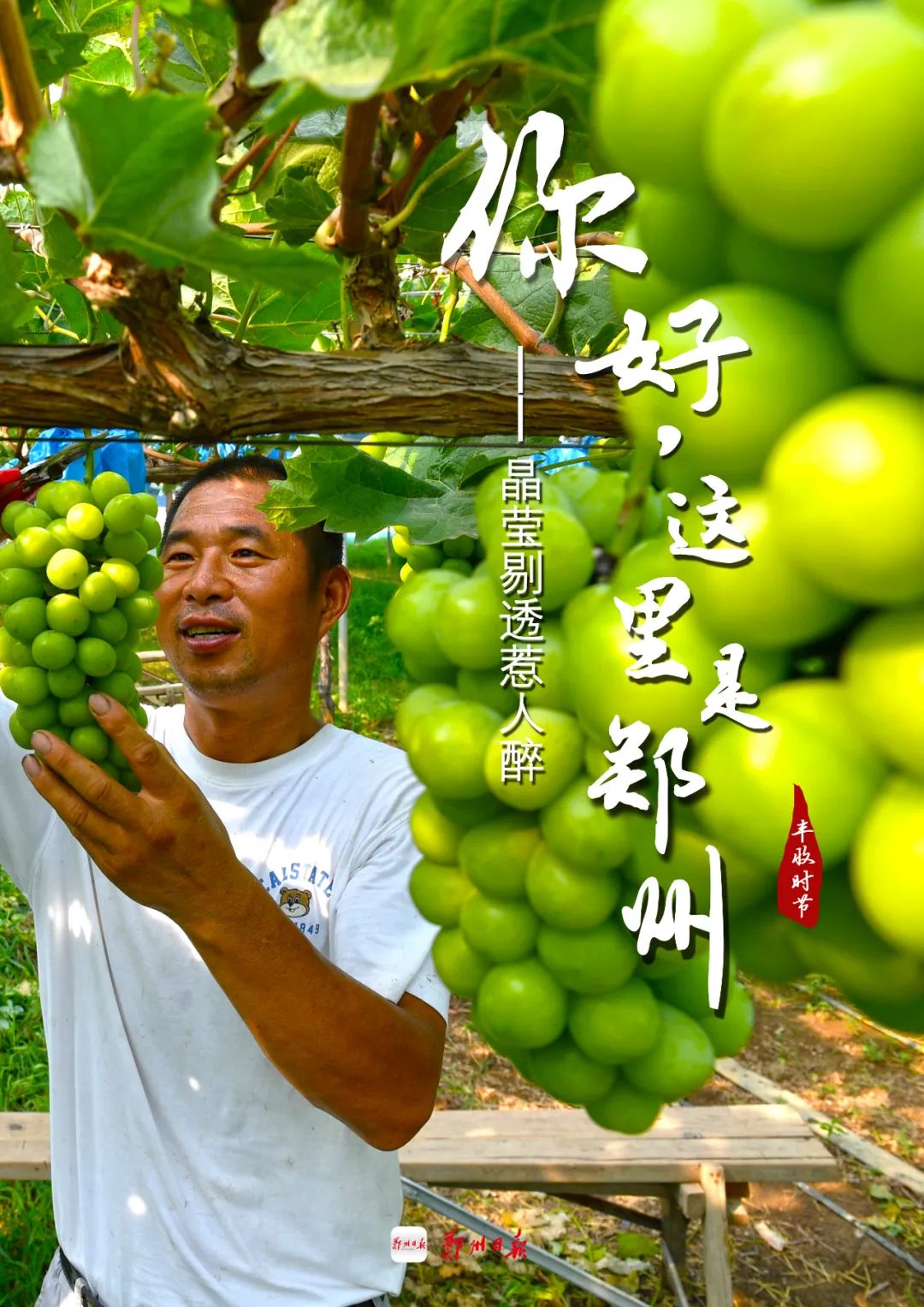 Date with 郑州｜你可以永远相信中原大地的浪漫休闲区蓝鸢梦想 - Www.slyday.coM