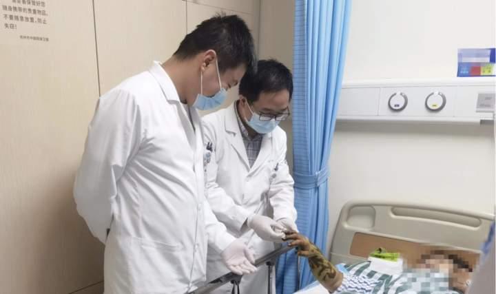 打板栗不慎被毒蛇咬伤，用了“土”方法，杭州男子差点丢命休闲区蓝鸢梦想 - Www.slyday.coM