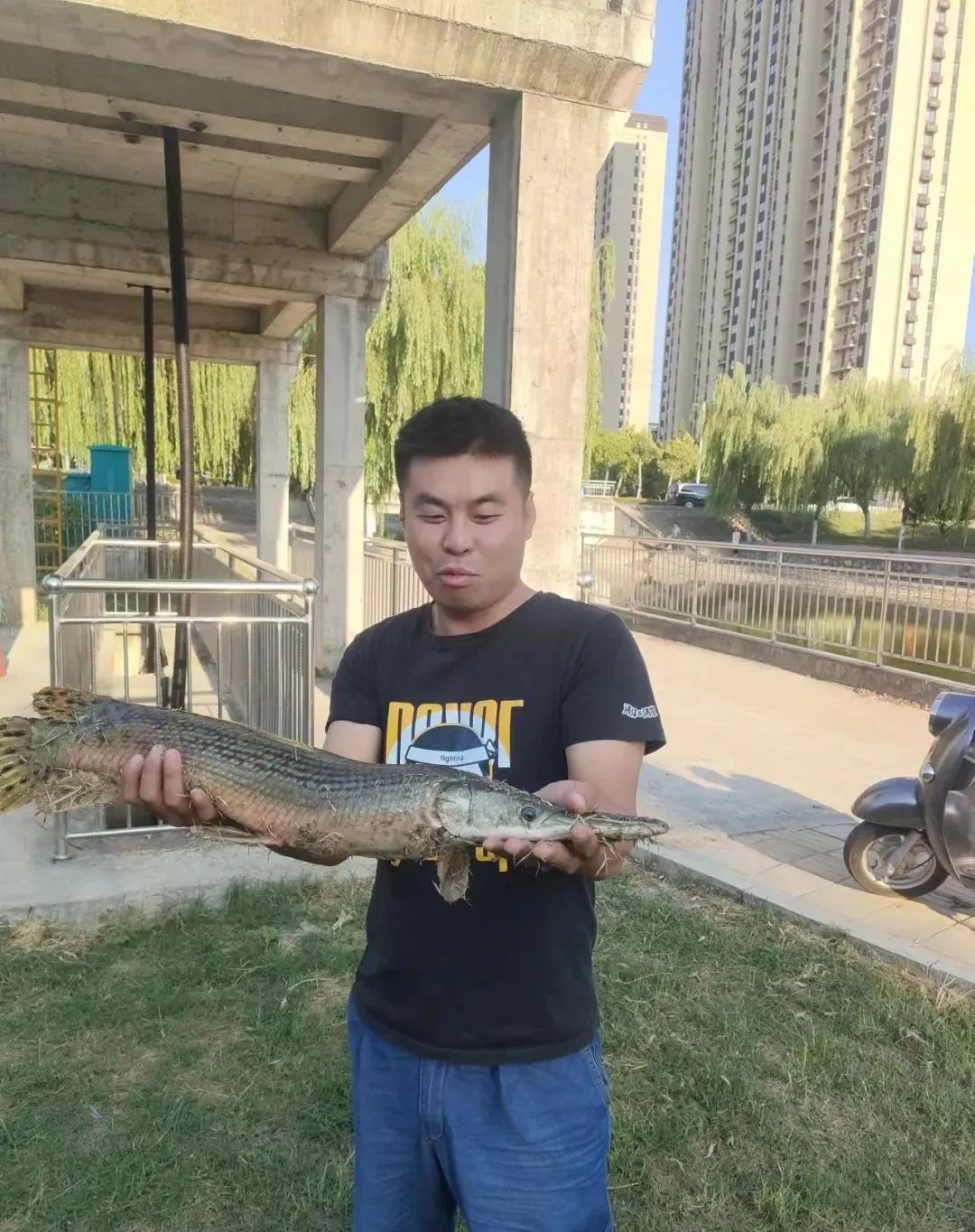 警惕！宿州也发现了鳄雀鳝休闲区蓝鸢梦想 - Www.slyday.coM