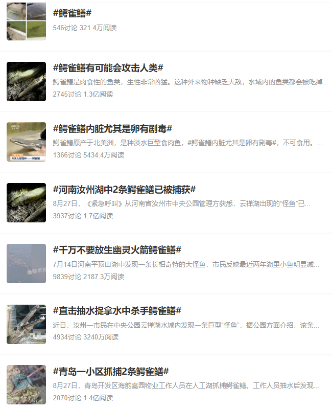 警惕！宿州也发现了鳄雀鳝休闲区蓝鸢梦想 - Www.slyday.coM