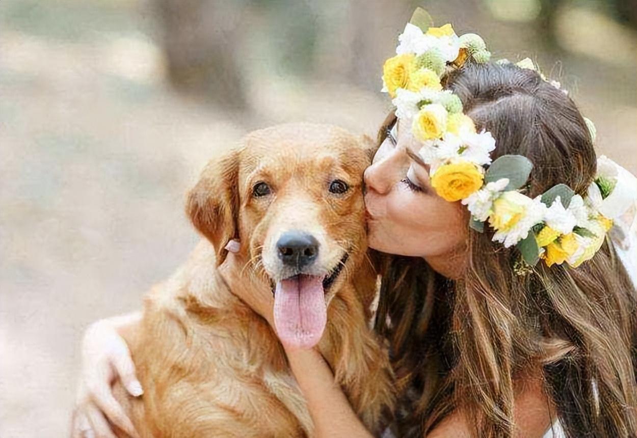 狗狗真的把你当“妈妈”,会有一些现象,很明显休闲区蓝鸢梦想 - Www.slyday.coM 狗狗真的把你当“妈妈”,会有一些现象,很明显休闲区蓝鸢梦想 - Www.slyday.coM