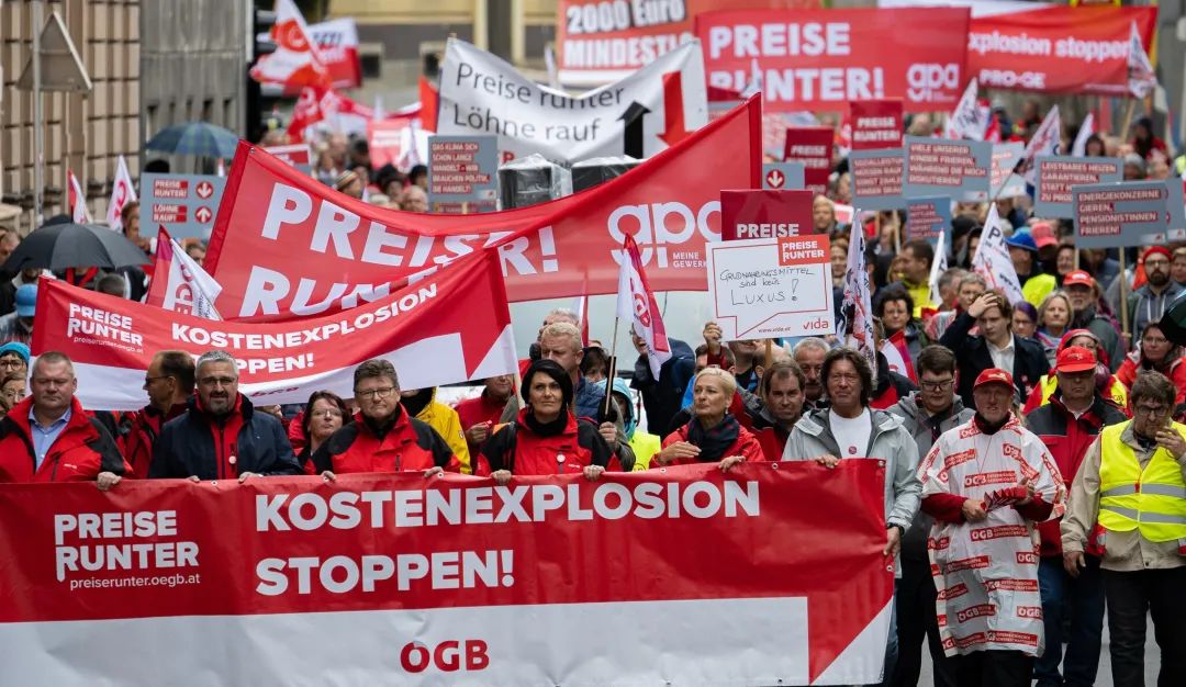奥地利抗议示威人群 图源：奥媒