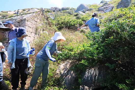     师生们在东极东福山岛进行样地植物调查。华东师大供图