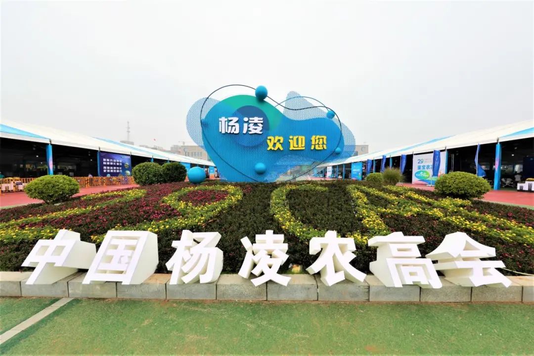 杨凌农高会:乡间集市嬗变"奥林匹克"盛典__财经头条