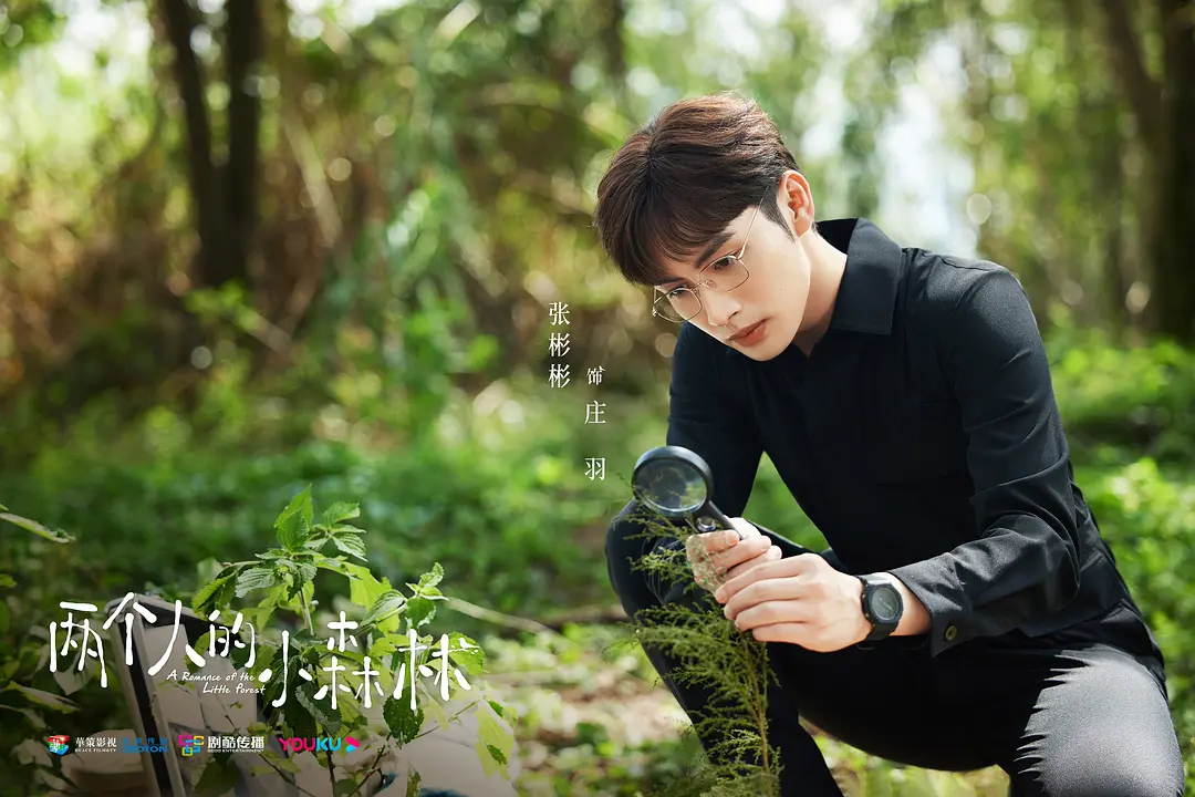 新片试毒：任嘉伦李沁《请君》、虞书欣张彬彬《小森林》、檀健次荣梓杉《你安全吗》等休闲区蓝鸢梦想 - Www.slyday.coM