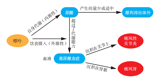 尿酸不是坏蛋，坏的是“高尿酸血症”休闲区蓝鸢梦想 - Www.slyday.coM