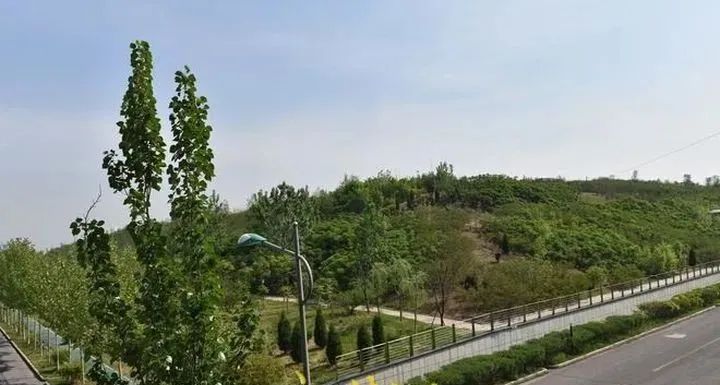 垃圾分類｜推動泉城垃圾分類引領新時尚