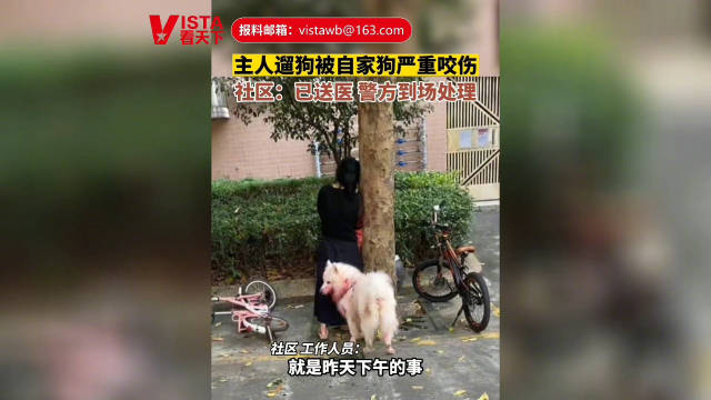 狗主人被自家宠物犬严重咬伤 社区：警方已到场处理|狗_新浪新闻