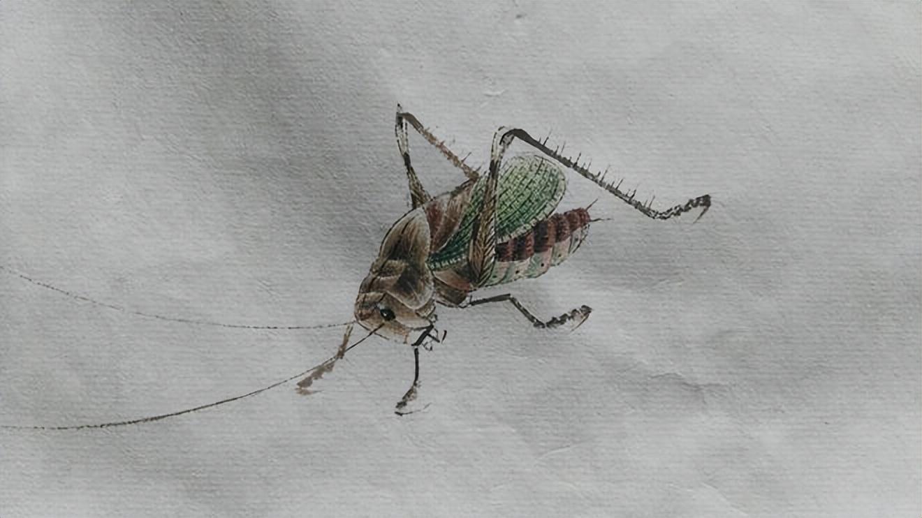 献礼齐白石真迹展,齐白石书画院院长汤发周,再现齐白石黄花蝈蝈__财经