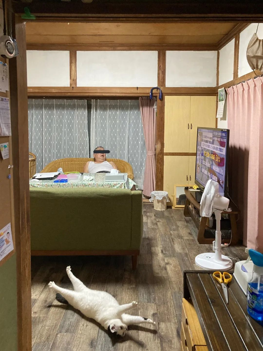 网友把猫放在了爷爷家 没想到几天就被同化了 猫 新浪新闻 网友把猫放在了爷爷家 没想到几天就被同化了 猫 新浪新闻