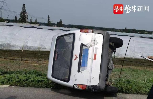 一条狗引发的交通事故——边开车边用手机回复短信，紧急避让结果车翻了休闲区蓝鸢梦想 - Www.slyday.coM