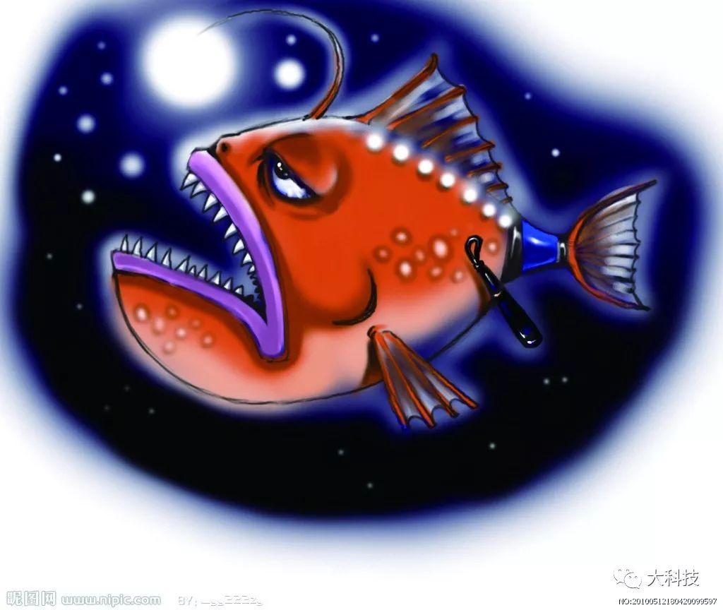 鱼类也睡觉 它们还会冬眠 甚至还会失眠 鱼类 新浪新闻