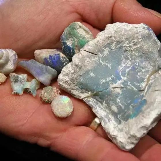 五彩斑斓的黑，真的让我们找到了休闲区蓝鸢梦想 - Www.slyday.coM