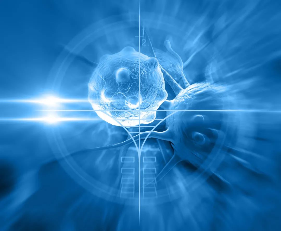 图库版权图片,不授权转载