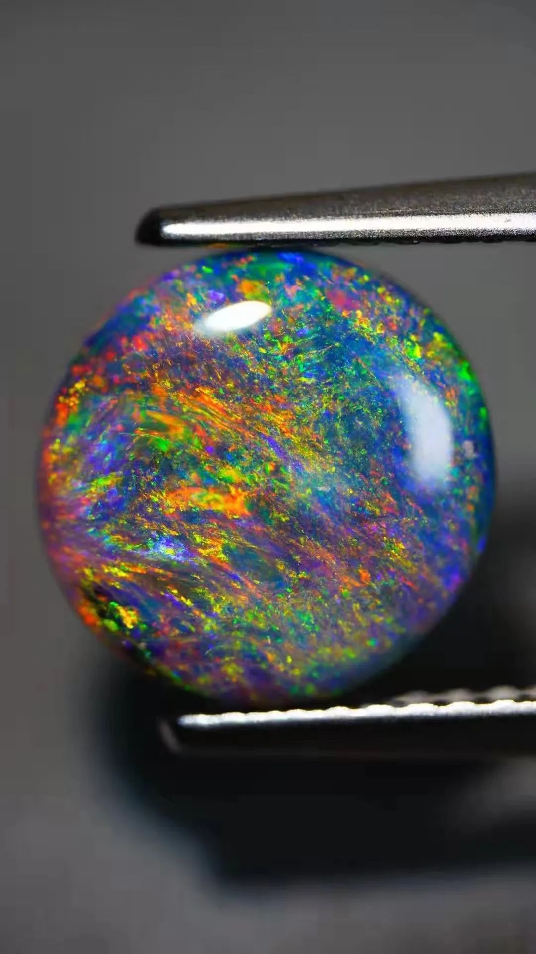 五彩斑斓的黑，真的让我们找到了休闲区蓝鸢梦想 - Www.slyday.coM