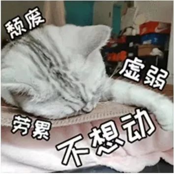 “脑子不转了”是真的！思考也会让你疲劳！休闲区蓝鸢梦想 - Www.slyday.coM