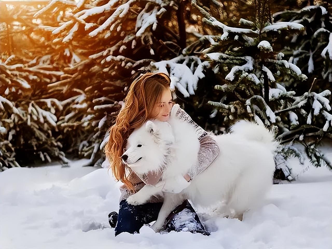 为啥建议女生别养“大型犬”?这几点,真的hold不住休闲区蓝鸢梦想 - Www.slyday.coM 为啥建议女生别养“大型犬”?这几点,真的hold不住休闲区蓝鸢梦想 - Www.slyday.coM