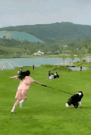 为啥建议女生别养“大型犬”?这几点,真的hold不住休闲区蓝鸢梦想 - Www.slyday.coM 为啥建议女生别养“大型犬”?这几点,真的hold不住休闲区蓝鸢梦想 - Www.slyday.coM