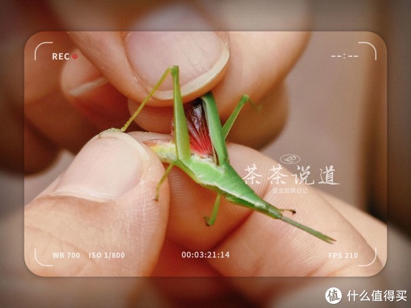 作为家长，怎么发现和培养孩子的兴趣爱好？教你5个实用小技巧休闲区蓝鸢梦想 - Www.slyday.coM