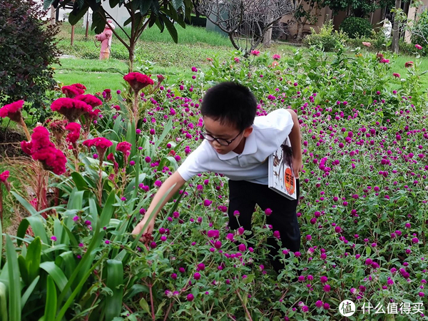 作为家长，怎么发现和培养孩子的兴趣爱好？教你5个实用小技巧休闲区蓝鸢梦想 - Www.slyday.coM