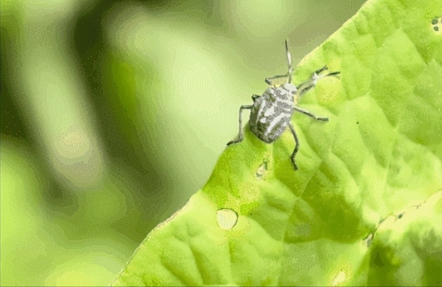 看了这个10岁女孩，我顿悟最好的父母，是唤醒孩子内心的种子休闲区蓝鸢梦想 - Www.slyday.coM