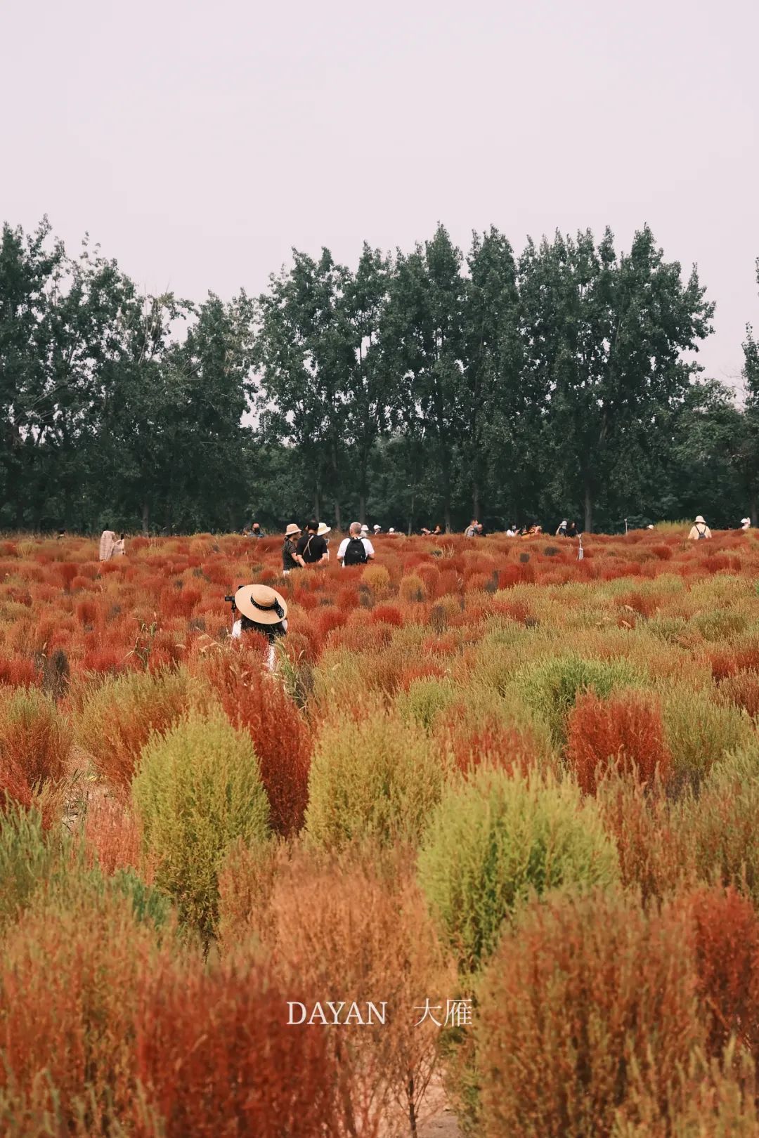 今年秋霖天气将持续至→|气温_新浪财经_新浪网