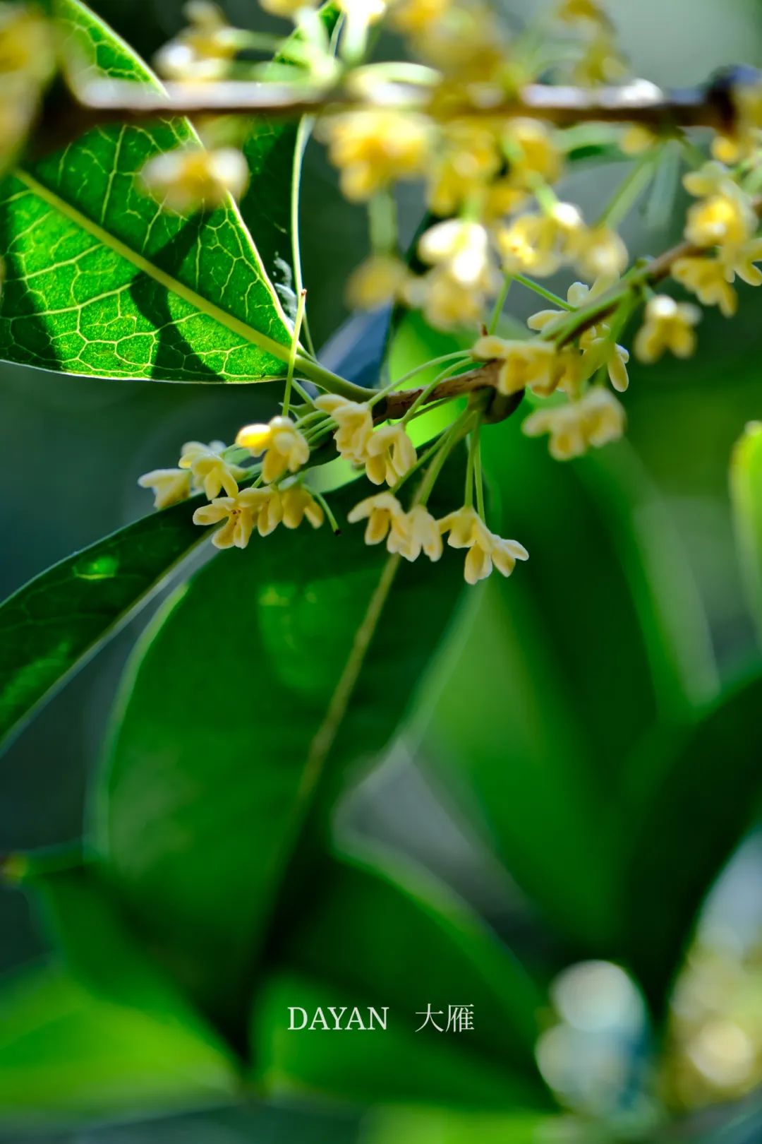 今年秋霖天气将持续至→|气温_新浪财经_新浪网