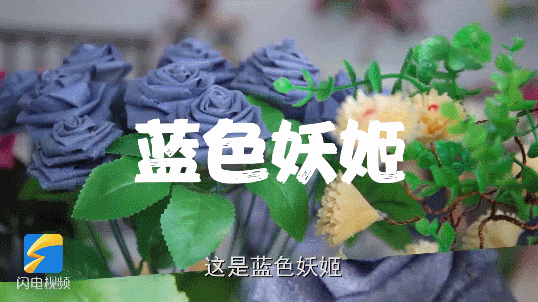 这，居然是用煎饼做的！休闲区蓝鸢梦想 - Www.slyday.coM