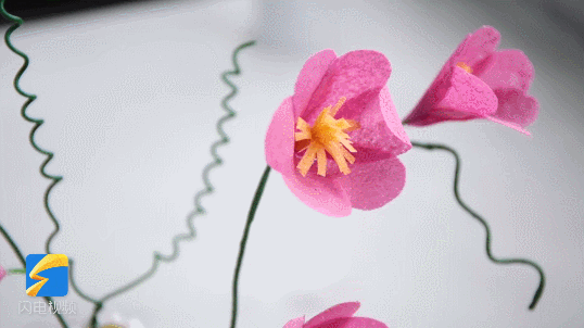 这，居然是用煎饼做的！休闲区蓝鸢梦想 - Www.slyday.coM